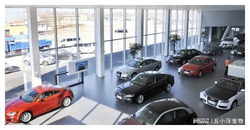 8200萬(wàn)汽車消費(fèi)券成功發(fā)放，汽車銷售行業(yè)或迎新爆發(fā)